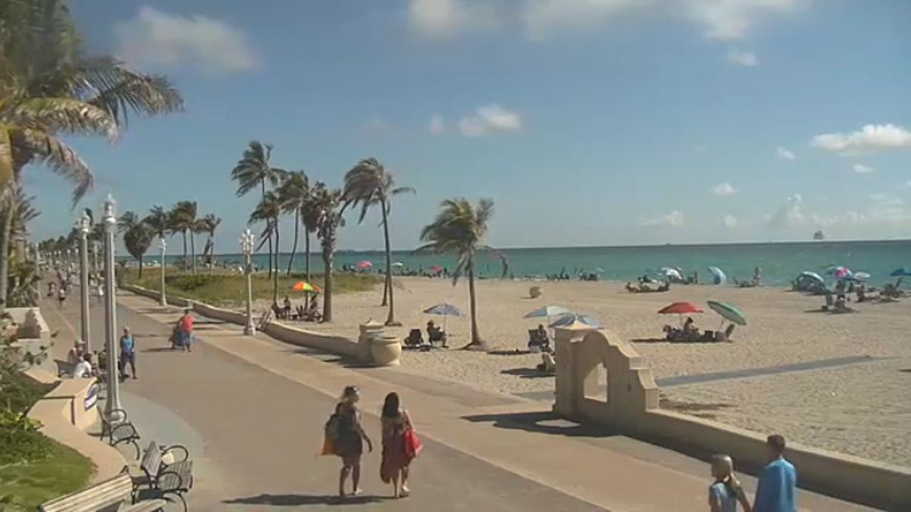 Hollywood Beach Camera