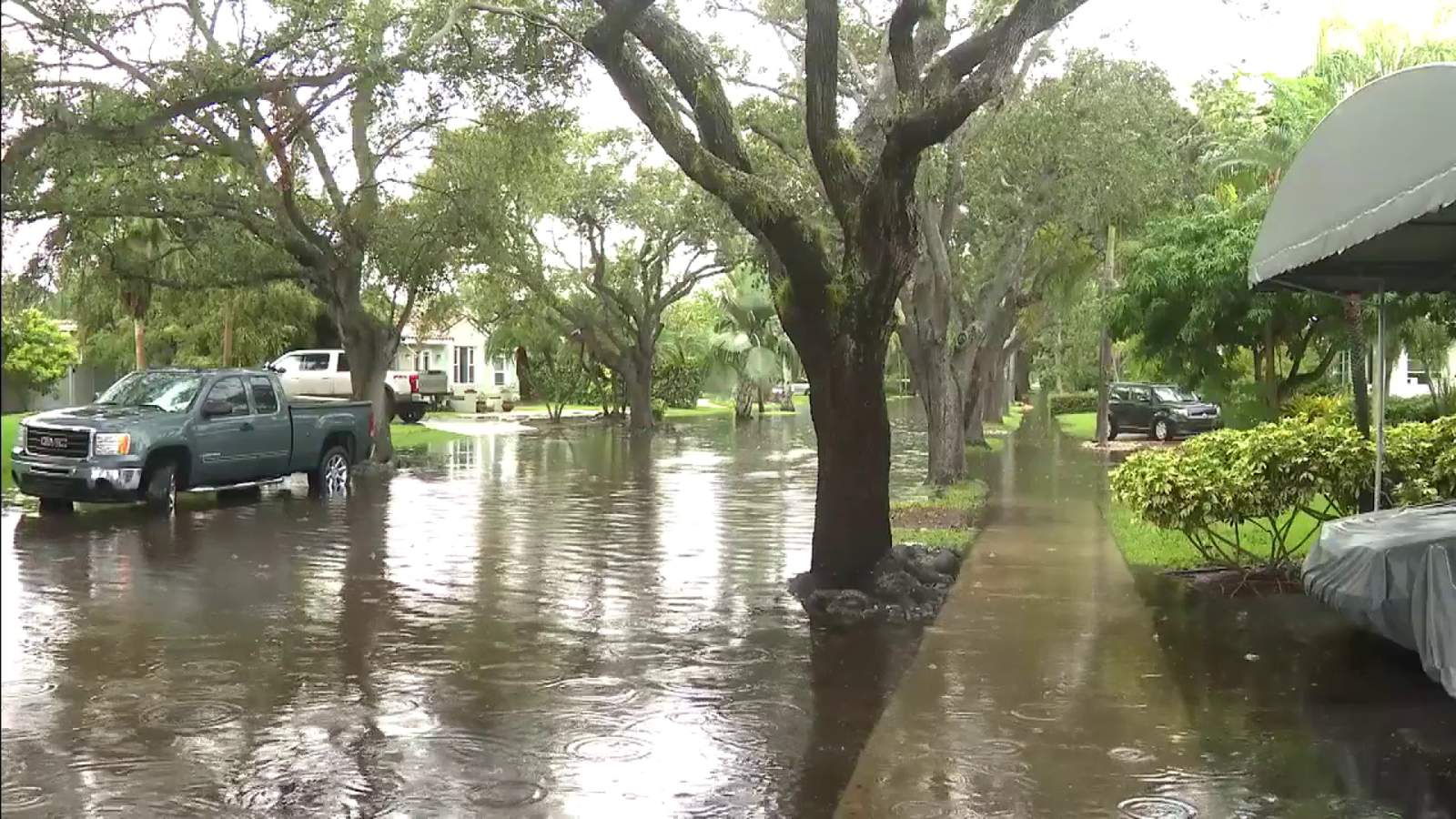 Streets flood in Broward County after heavy rains
