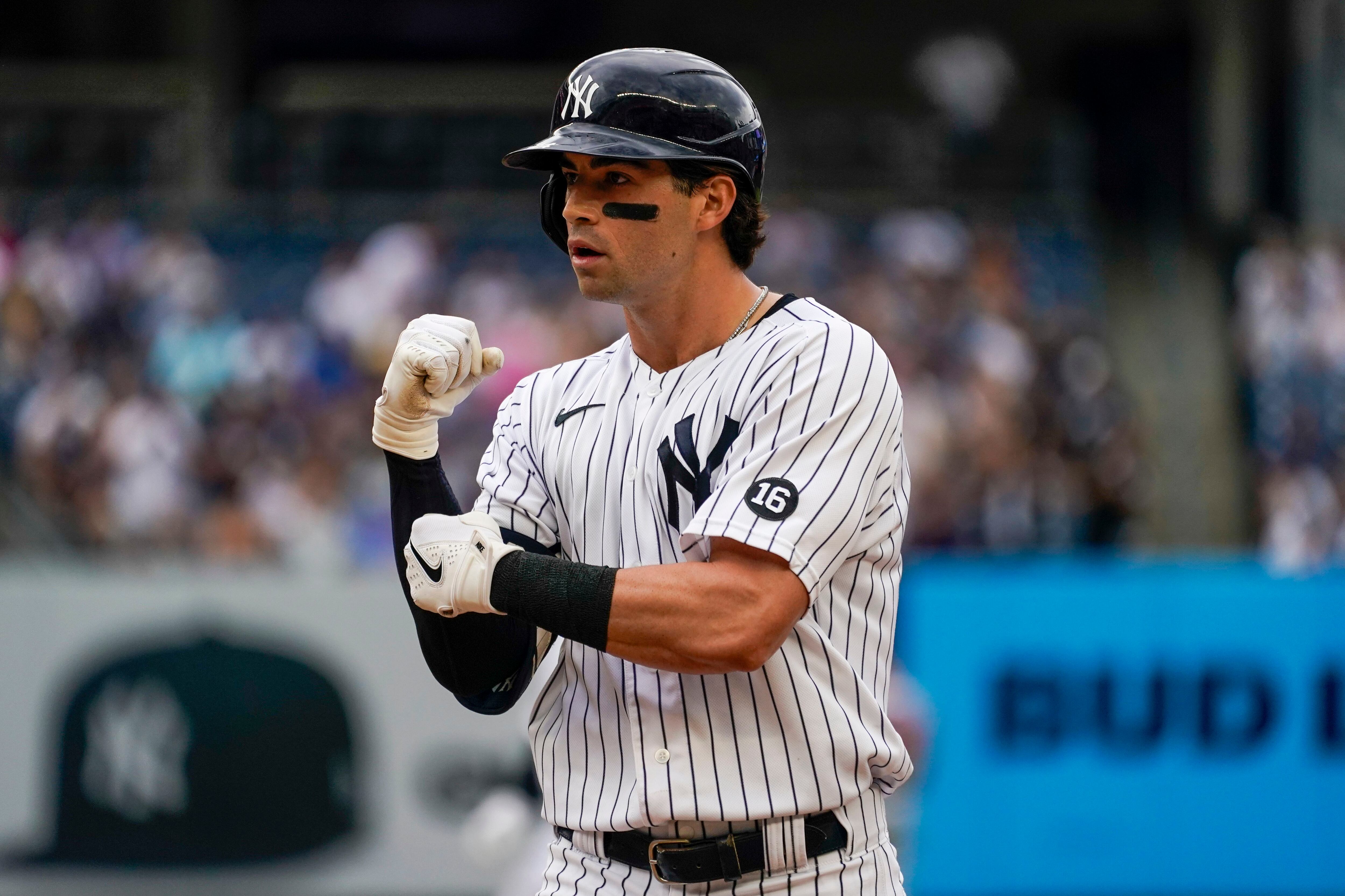 DJ LeMahieu, Luke Voit new fathers