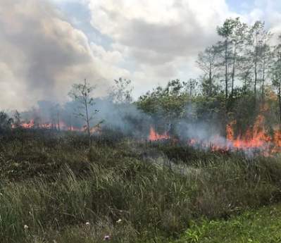 Officials search for arsonists responsible for setting the Everglades on fire over the span of two months