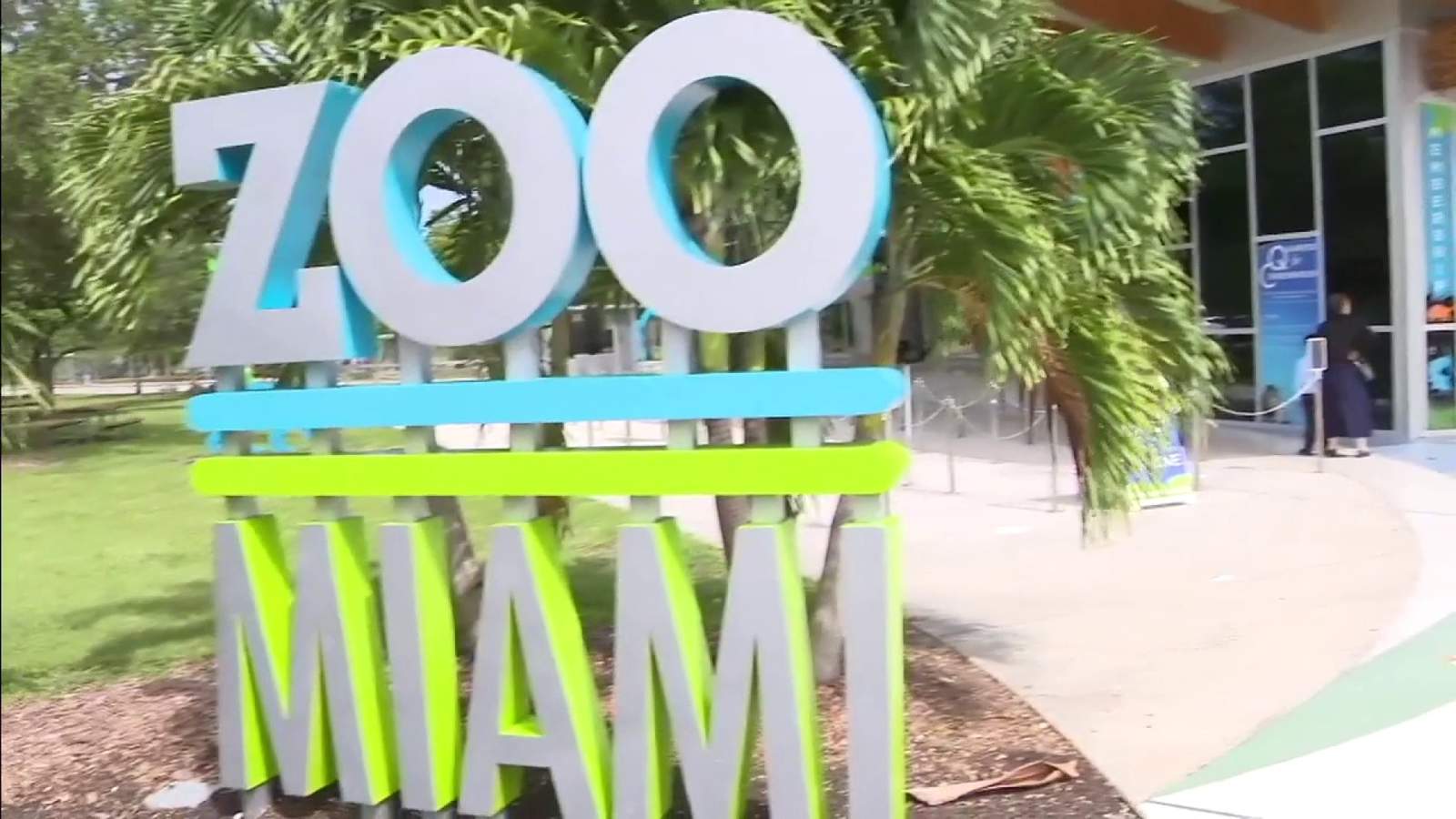 4 employees at Zoo Miami test positive for COVID-19